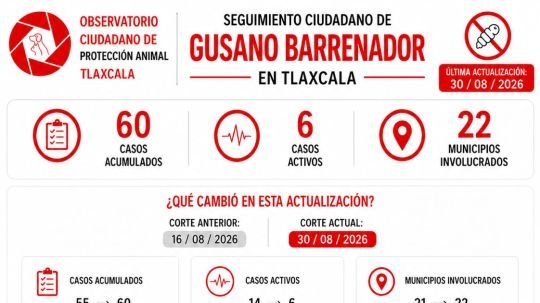 Tlaxcala suma 60 casos de gusano barrenador; activos disminuyen de 14 a 6