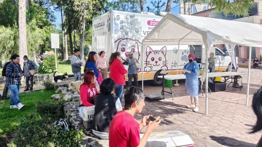 Concluye con éxito jornada de bienestar animal en Tizatlán y San Gabriel Cuauhtla; Mañana llegará a Atempan