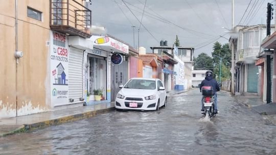 En coordinación atienden autoridades municipales y estatales caída de rama de árbol y anegaciones tras fuerte lluvia