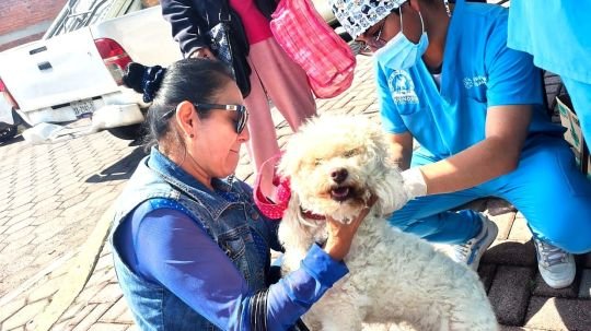 Próximo sábado 26 de septiembre el ayuntamiento de Tlaxcala y SESA llevarán a cabo una jornada de vacunación antirrábica