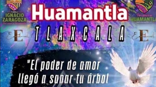 Llega a nuestra comunidad el poder del amor llegó a sanar tu árbol