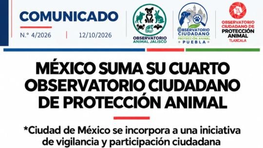 México suma su cuarto observatorio ciudadano de protección animal