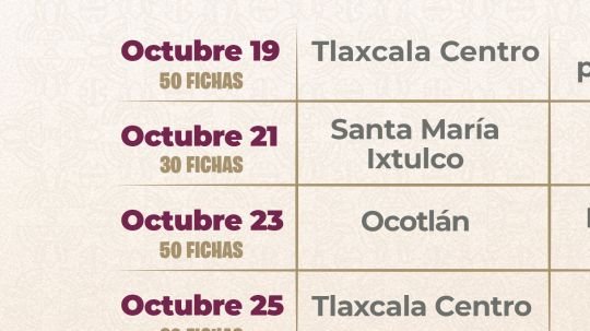 Se suma ayuntamiento de Tlaxcala a la caravana de salud estatal con campaña de esterilización y vacunación para perros