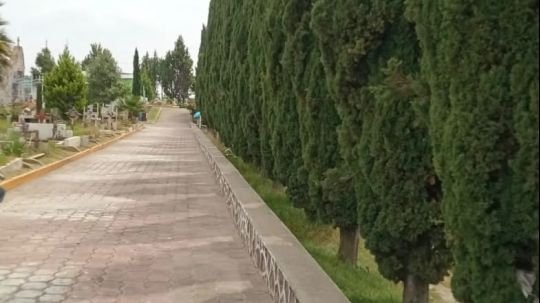 Continúa Ayuntamiento de San Pablo del Monte con labores de limpieza de panteones