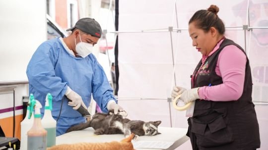 Como parte de la caravana de salud gobierno municipal de Tlaxcala y SESA promueven el bienestar animal con jornada