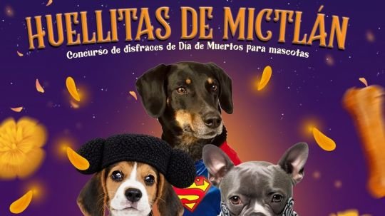 Invitan a participar en huellitas de Mictlán, el concurso de disfraces para mascotas en Huamantla