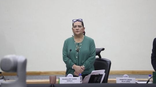 Sheinbaum da por buena la renuncia de Taddei al INE, pero debe haber investigación de irregularidades, apunta