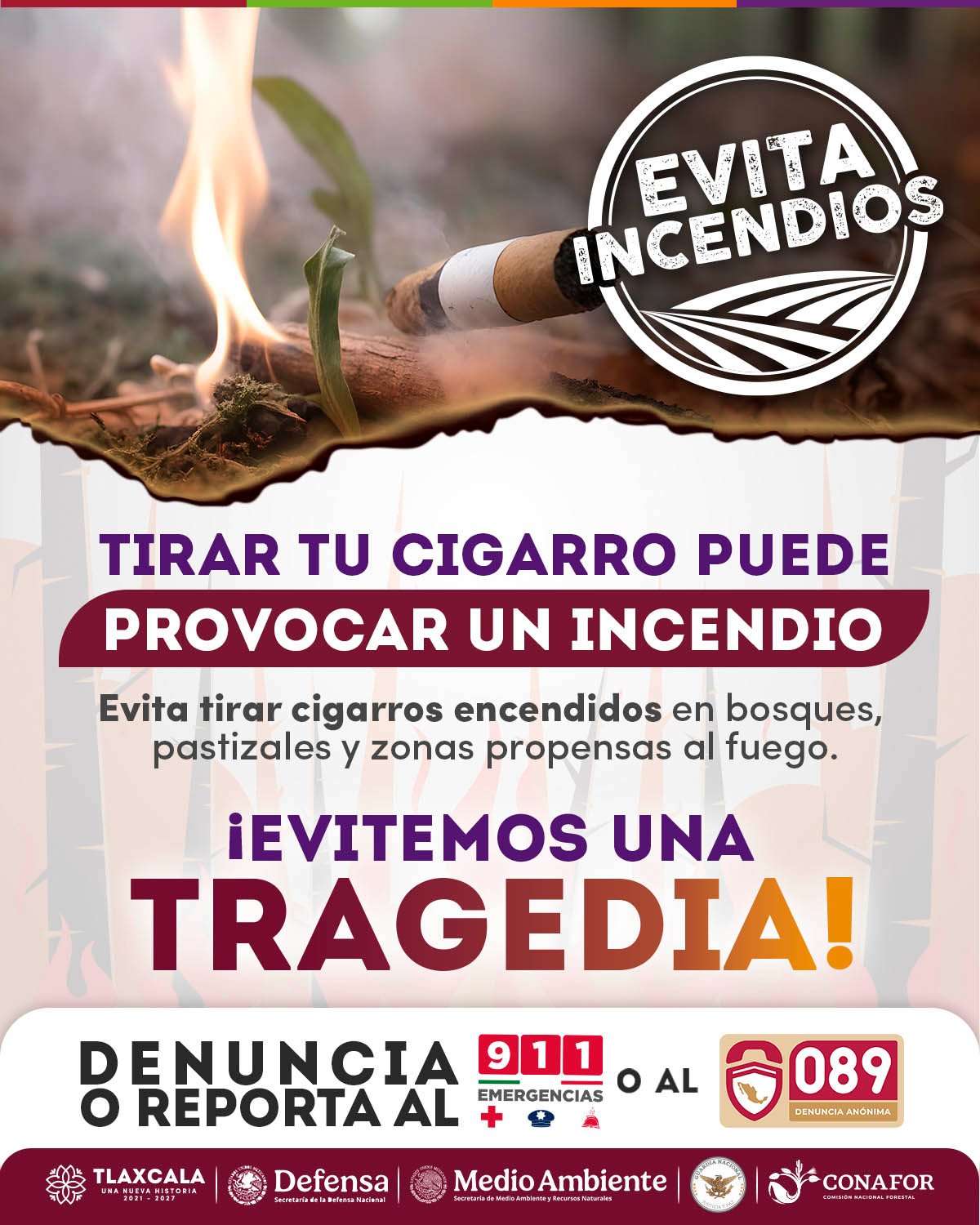 gobierno 7 360x480