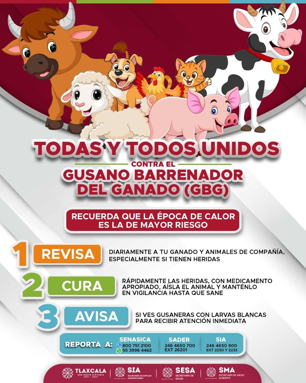 gobierno 7 360x480