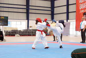 Karatecas realizan seminario en el Crart