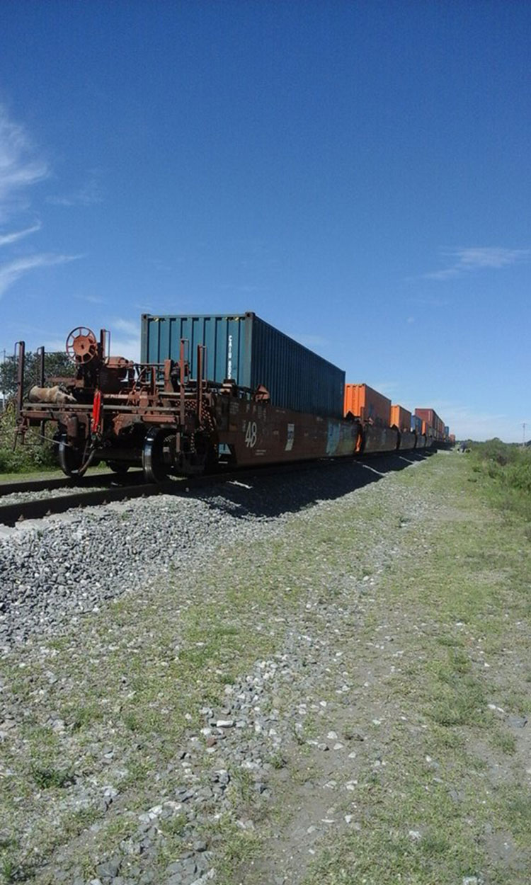 Robo a trenes concentra actividad en Lázaro  Cárdenas 