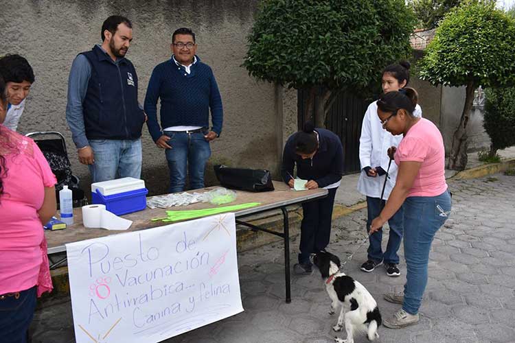 Inicia última semana nacional de vacunación antirrábica de perros y gatos en Zacatelco