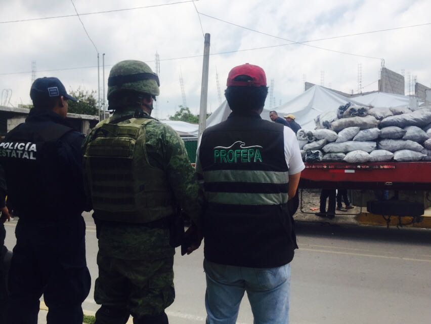 Grupo de coordinación Tlaxcala combate tala en la malinche